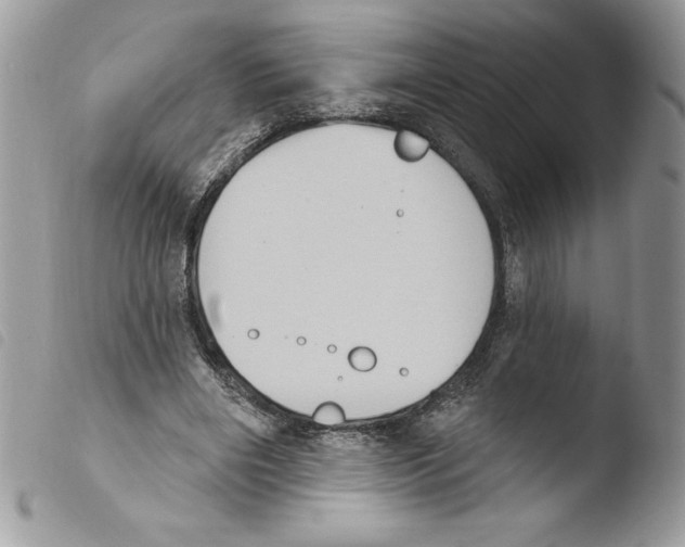 X0000103950490200810171842