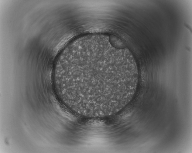 X0000103950491200810171842