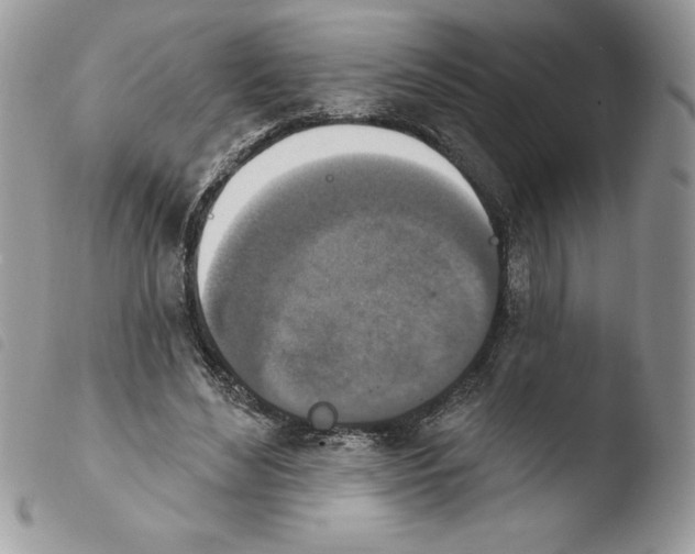 X0000103950492200810171842