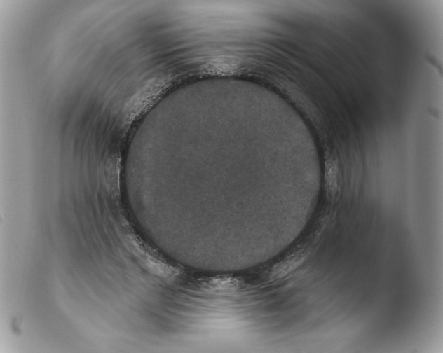 X0000103950493200810171842