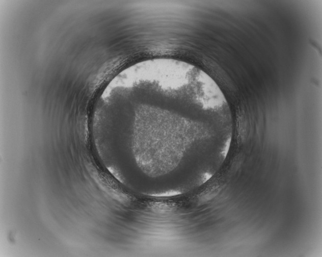 X0000103950494200810171842