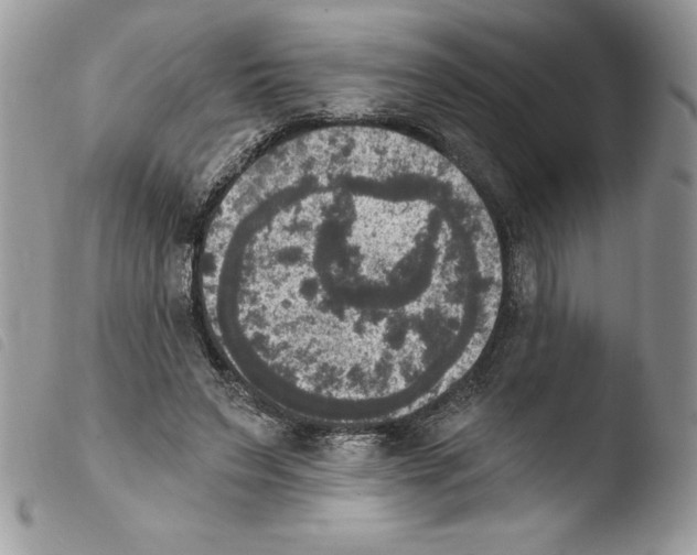 X0000103950495200810171842