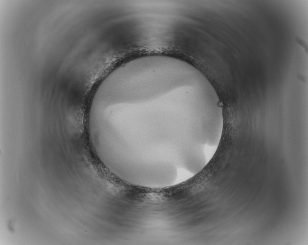 X0000103950496200810171842