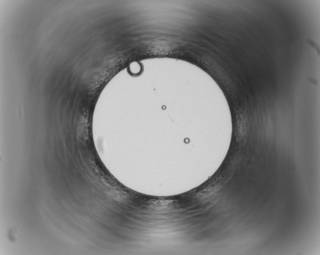 X0000103950497200810171842