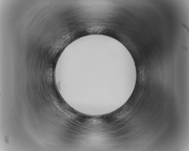 X0000103950498200810171842