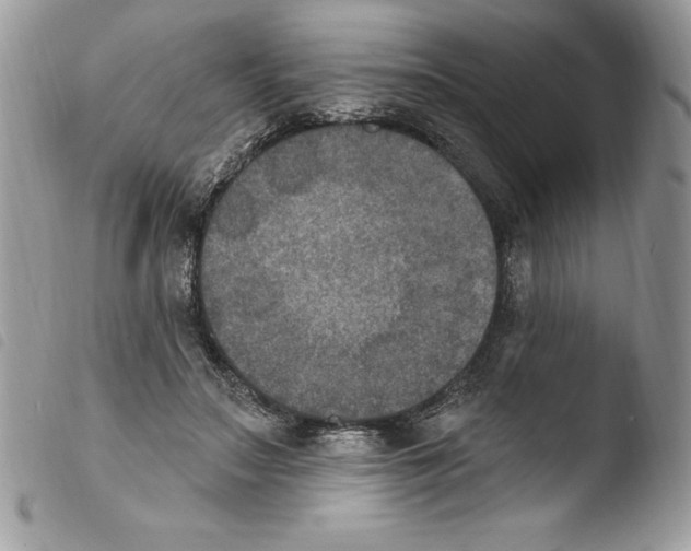 X0000103950499200810171842