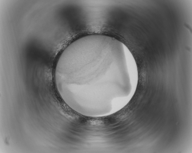 X0000103950500200810171842