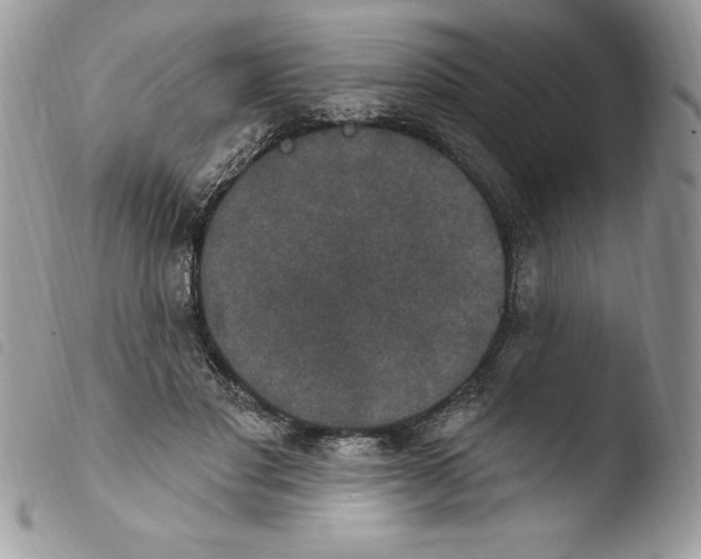 X0000103950501200810171842