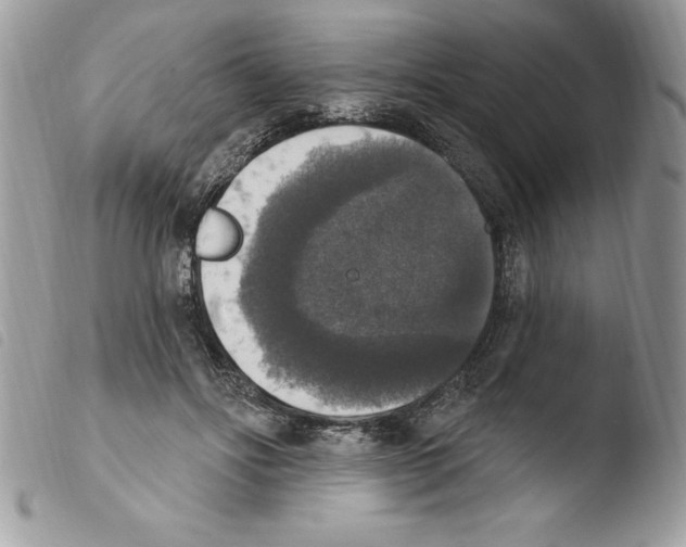 X0000103950502200810171842