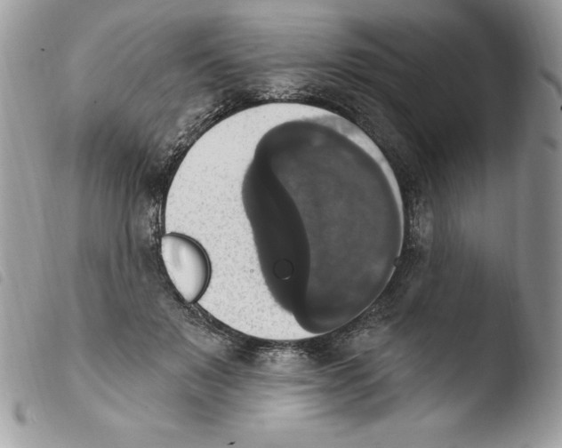 X0000103950503200810171842
