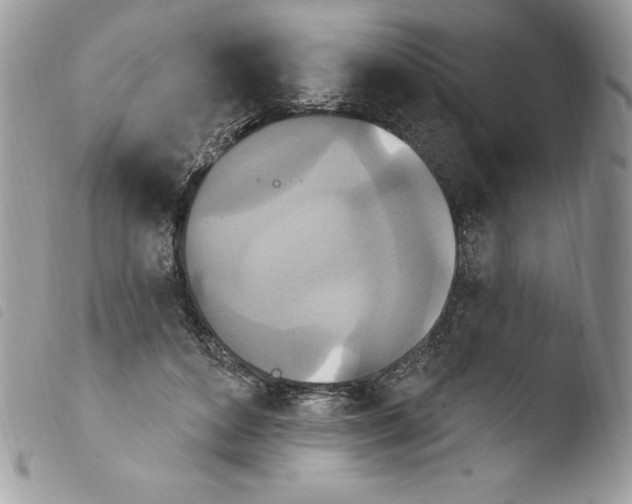 X0000103950504200810171842