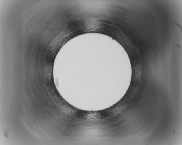 X0000103950505200810171842