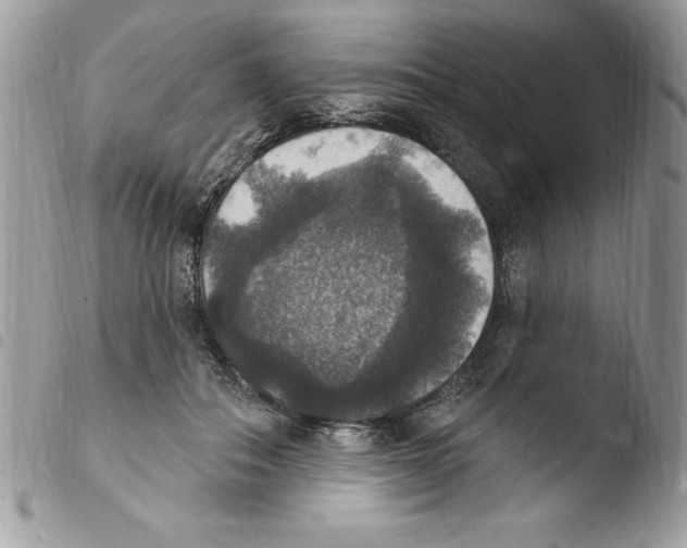 X0000103950506200810171842
