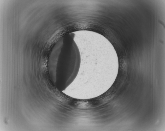 X0000103950507200810171842