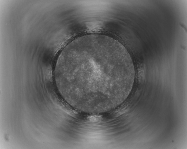 X0000103950508200810171842
