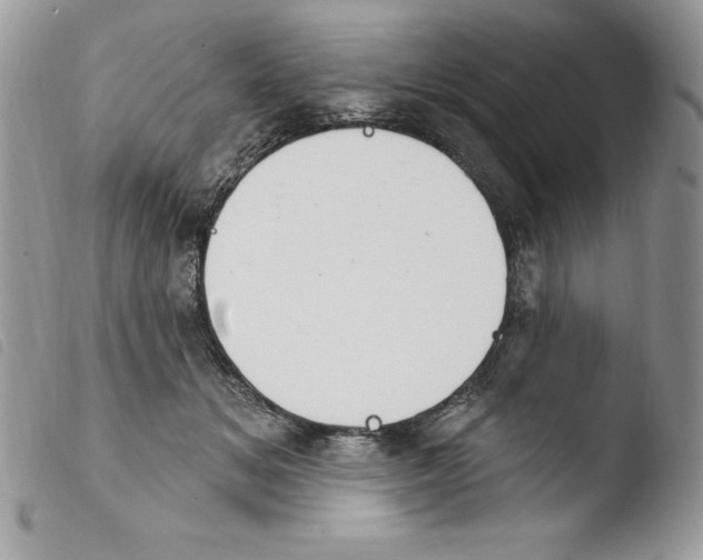 X0000103950509200810171842