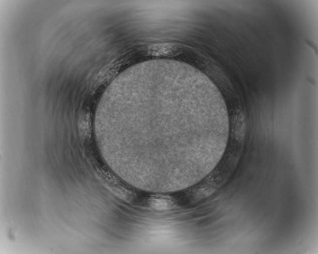 X0000103950510200810171842
