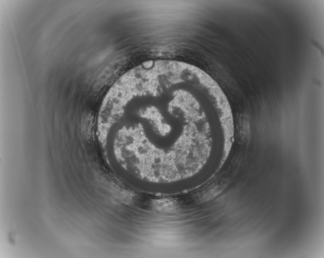 X0000103950511200810171842