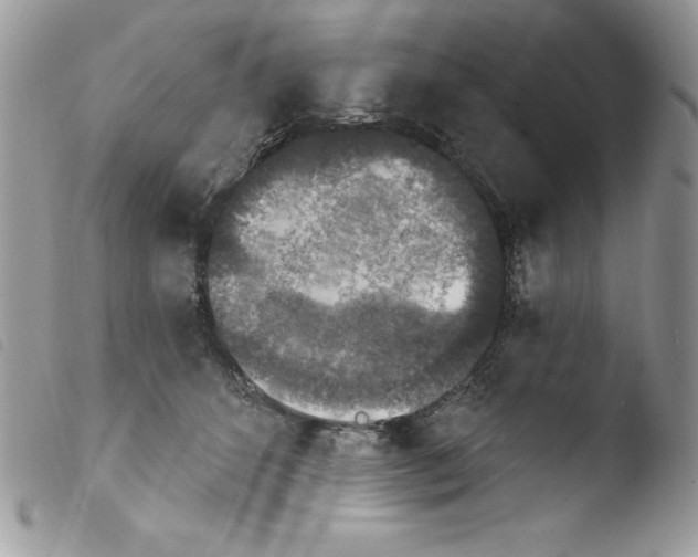 X0000103950512200810171842