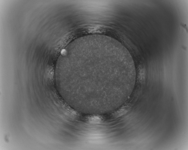 X0000103950513200810171842
