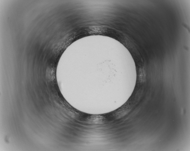 X0000103950514200810171842