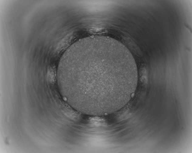 X0000103950515200810171842