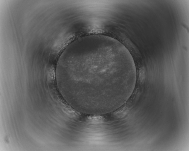 X0000103950517200810171841
