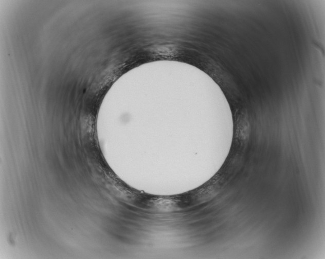 X0000103950518200810171841
