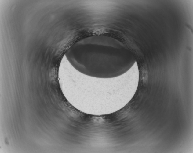 X0000103950519200810171841