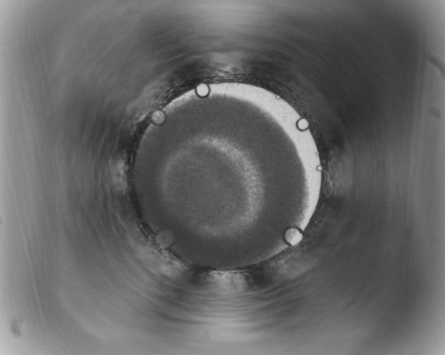 X0000103950520200810171841