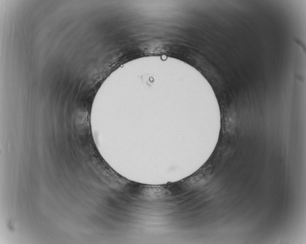 X0000103950521200810171841
