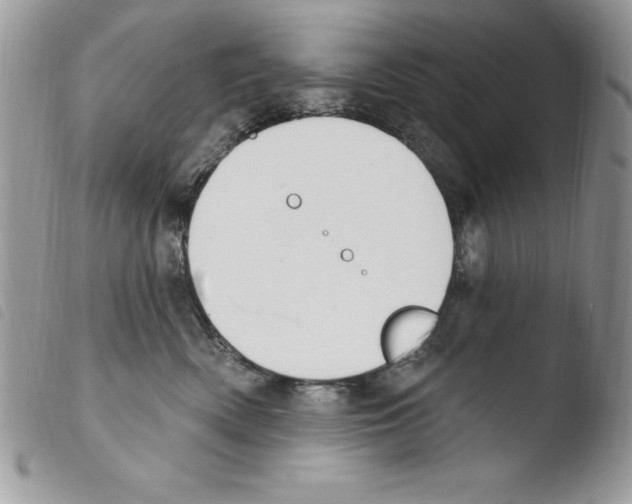 X0000103950522200810171841