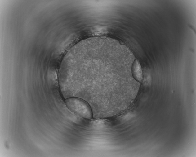X0000103950523200810171841