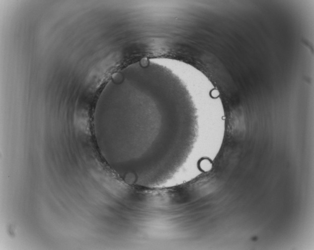X0000103950524200810171841