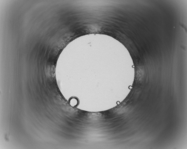 X0000103950525200810171841
