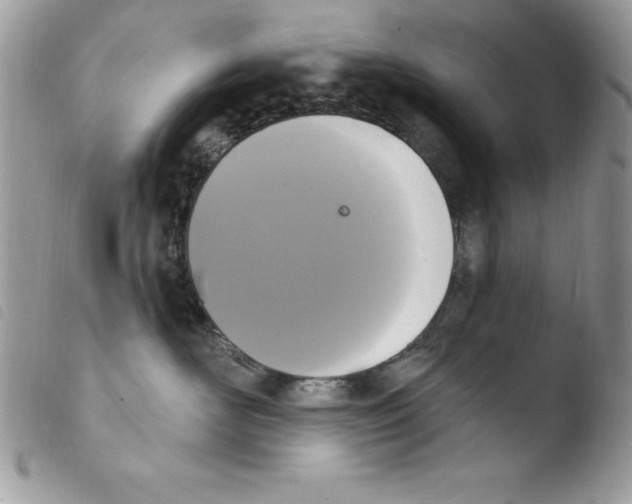 X0000103950526200810171841