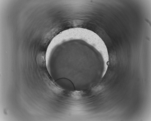X0000103950527200810171841