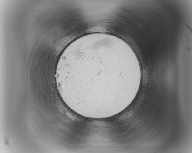 X0000103950529200810171840