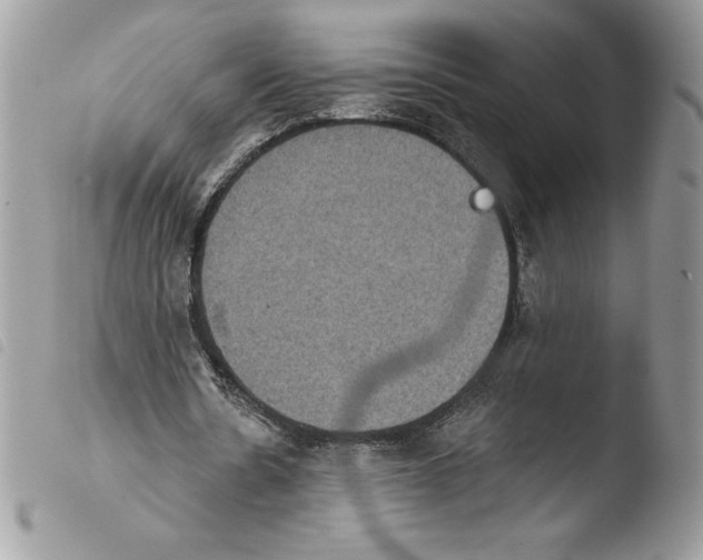X0000103950530200810171840