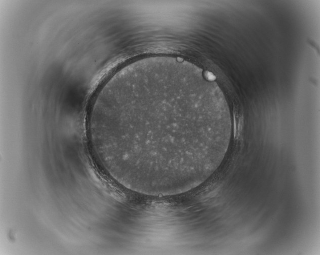 X0000103950531200810171840