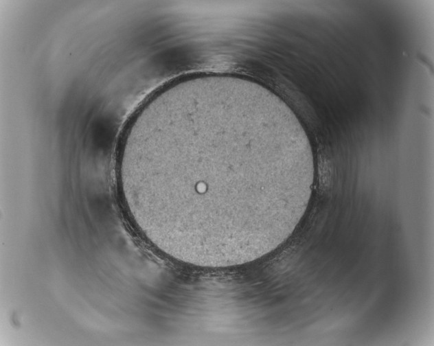 X0000103950532200810171840