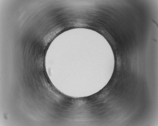 X0000103950533200810171840