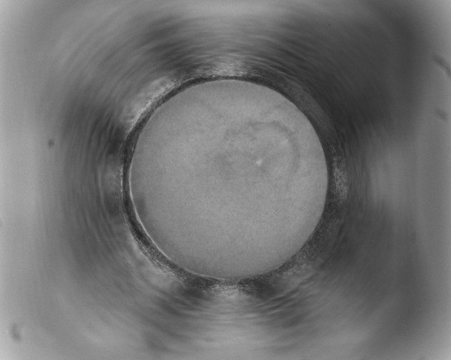 X0000103950534200810171840