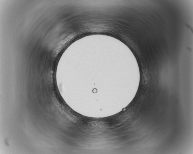 X0000103950535200810171840