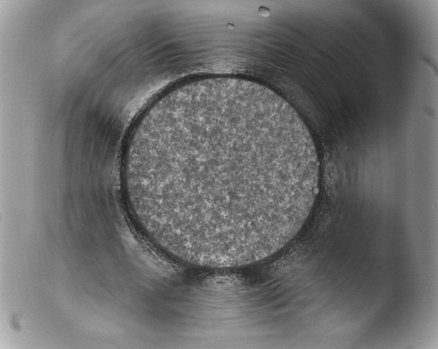 X0000103950536200810171840