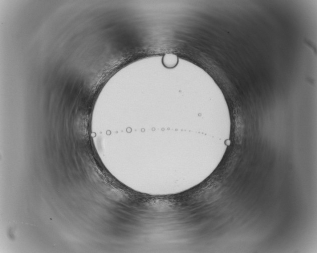 X0000103950537200810171840