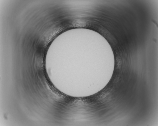X0000103950538200810171840