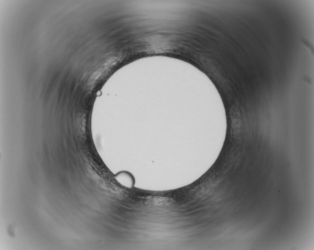 X0000103950539200810171840