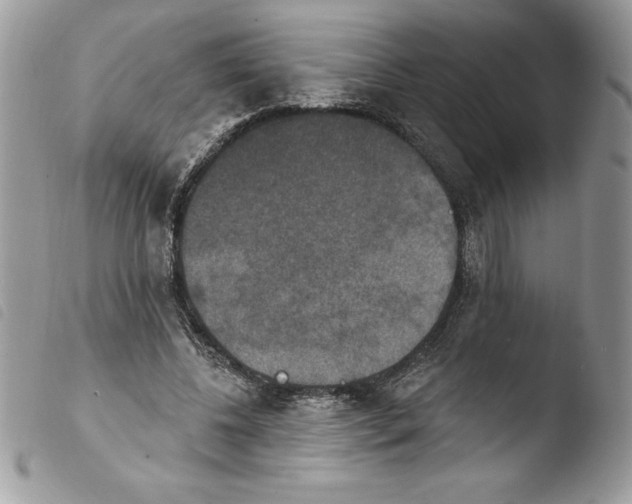 X0000103950540200810171840