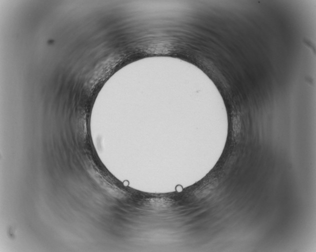 X0000103950541200810171840